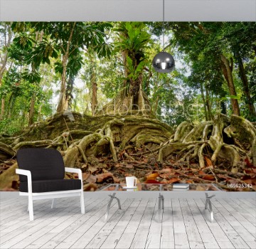 Bild på Tropical tree in the jungle of Costa Rica